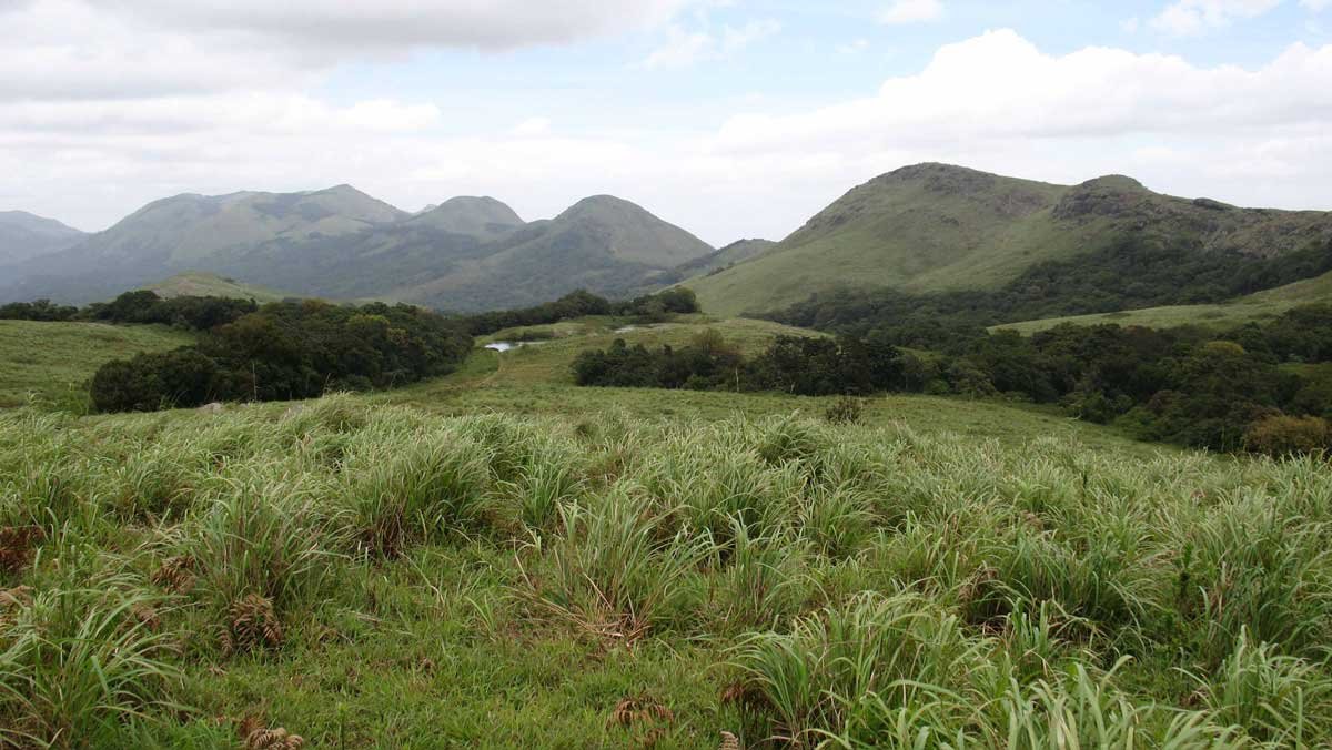 Nature-Positive-Solutions-for-Shifting-Agrifood-Systems-to-More-Resilient-and-Sustainable-Pathways