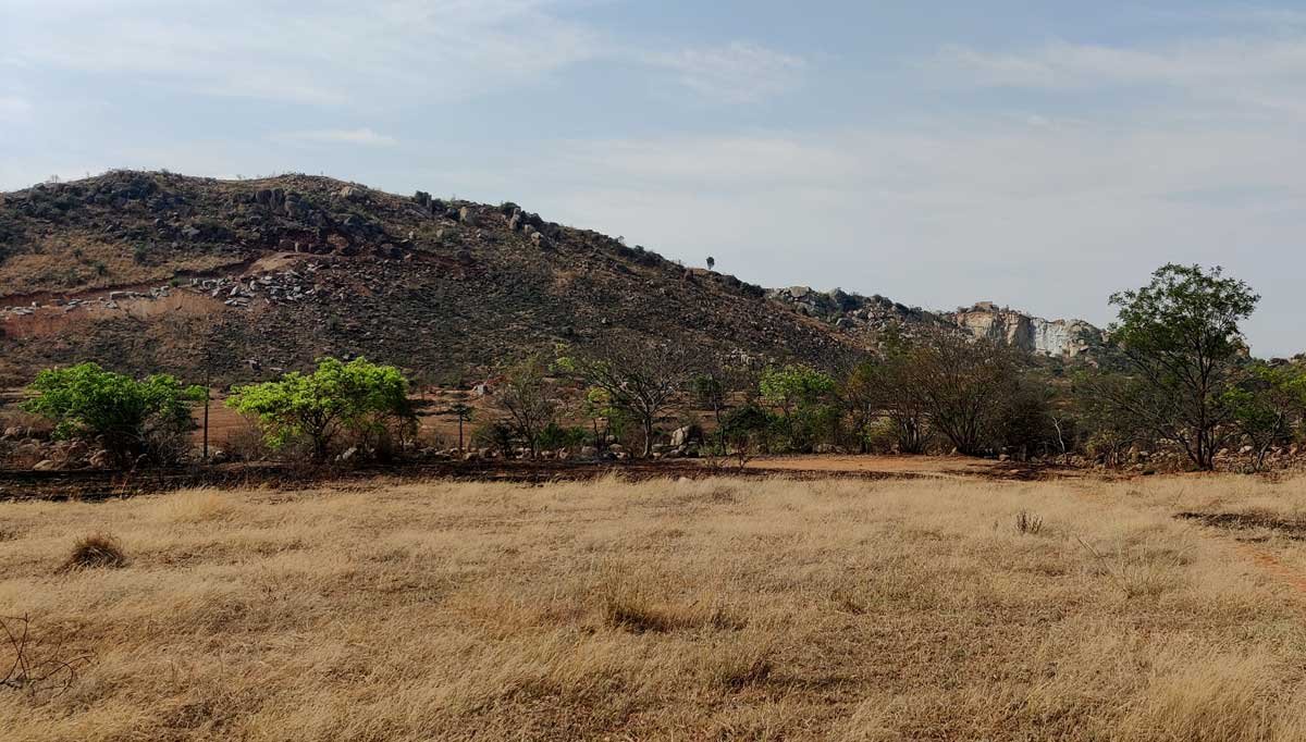 Restoring-Degraded-Natural-Habitat-near-Bengaluru-to-combat-Climate-Change