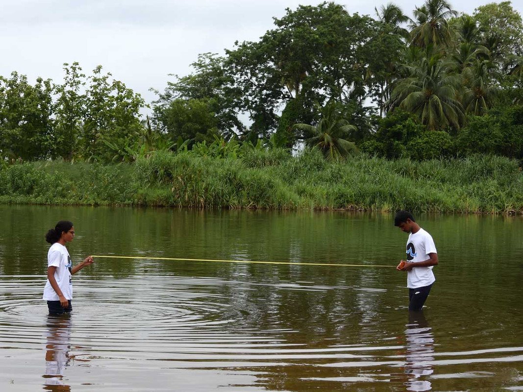 Riparian-zone-restoration-and-associated-biodiversity-along-the-Tamiraparani-River-Tamil-Nadu