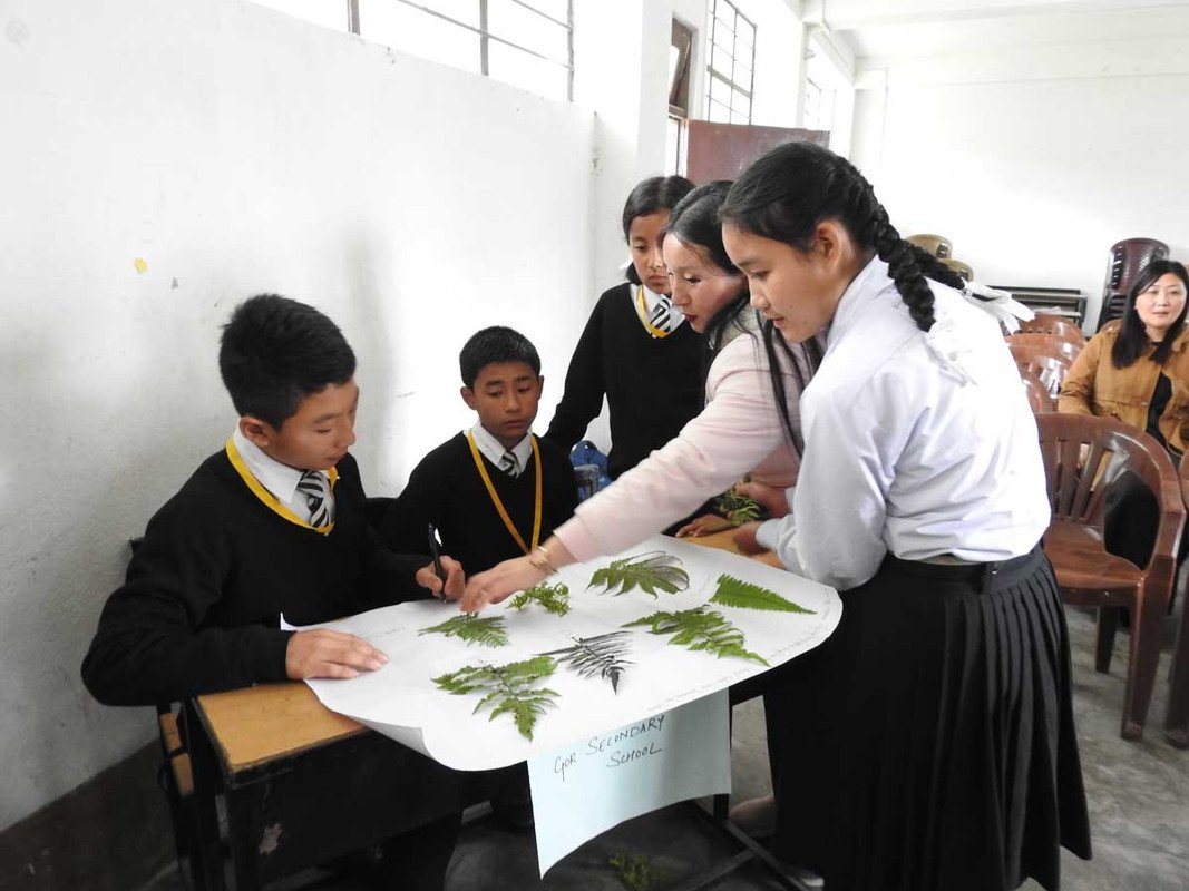 Wild-edible-plants-of-Dzongu-Valley-Sikkim-India-Conserving-diversity-traditional-knowledge-and-p