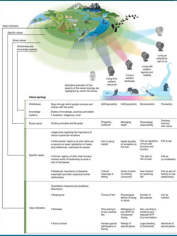 diverse values of nature