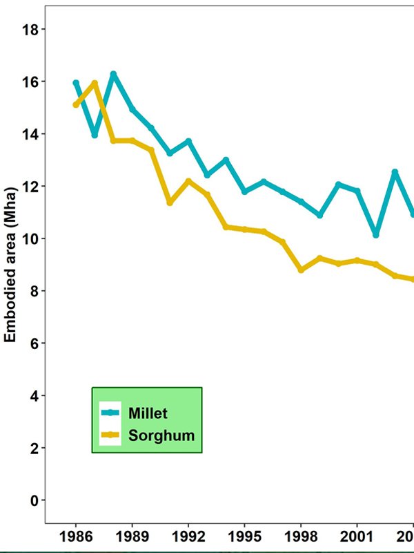 india millets